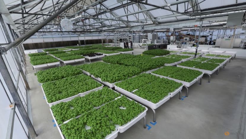 Bill Gates' green tech fund bets on Silicon Valley farming robots Bill Gates' green tech fund bets on Silicon Valley farming robots