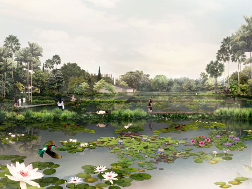More than 140 varieties of water lilies will be showcased within water terraces at the Aquatic Gardens, making it the largest collection of water lilies here in the Republic. Photo: NParks