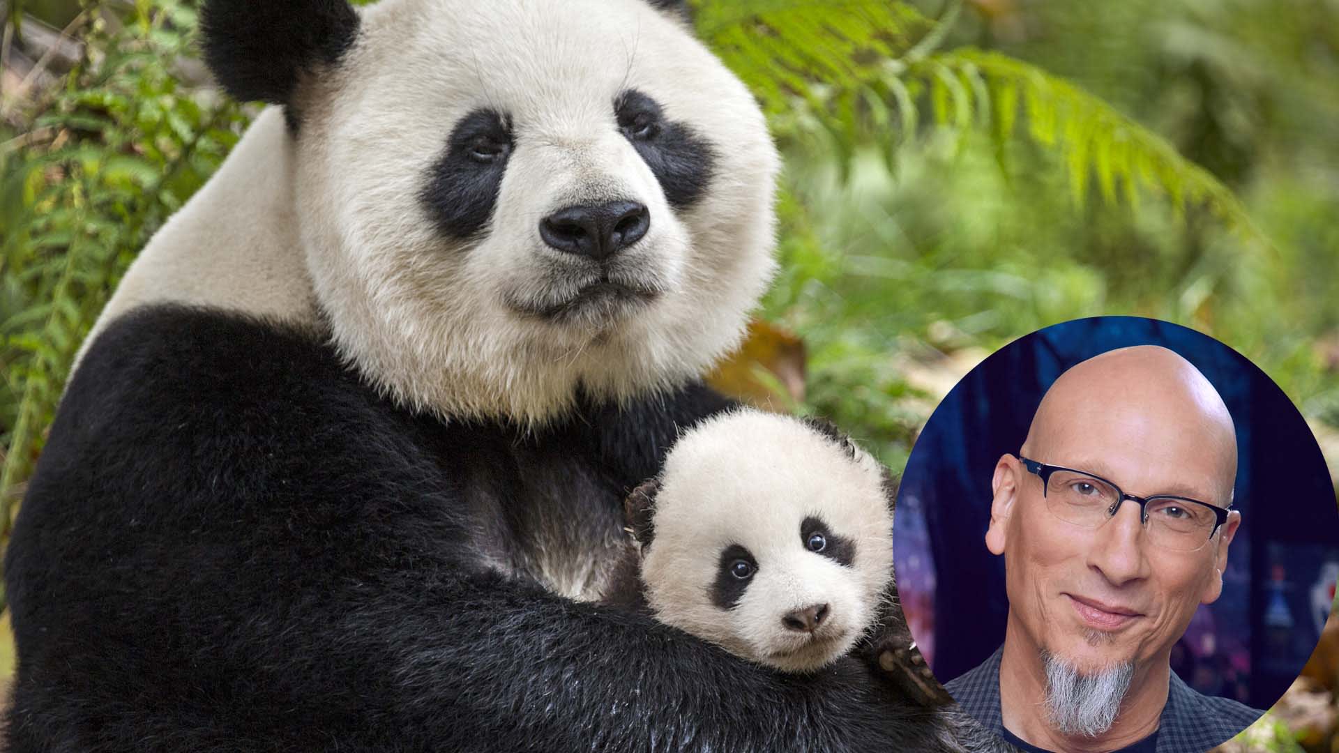 An Oscar-winning Producer Reveals The Differences Between Working With Animated Characters and Animals In The Wild An Oscar-winning Producer Reveals The Differences Between Working With Animated Characters and Animals In The Wild