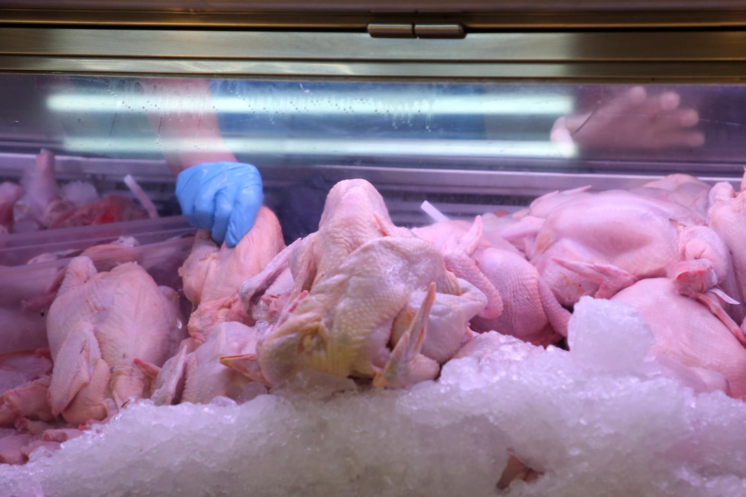 The demand for meat (beef, pork, chicken and fish) is driven by urbanisation, improved standards of living, and changing dietary preferences of the region’s growing urban middle-class. The demand for meat (beef, pork, chicken and fish) is driven by urbanisation, improved standards of living, and changing dietary preferences of the region’s growing urban middle-class.