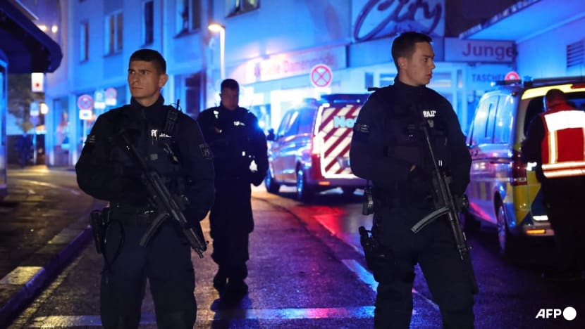 Tragic Stabbing Incident at Solingen Festival in Germany: Multiple Casualties Reported