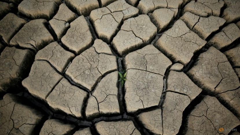 UN climate report increases urgency for green investment funds UN climate report increases urgency for green investment funds