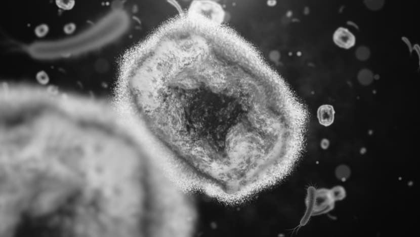 CNA Explains: Who is at risk of monkeypox and how worried should you be? CNA Explains: Who is at risk of monkeypox and how worried should you be?