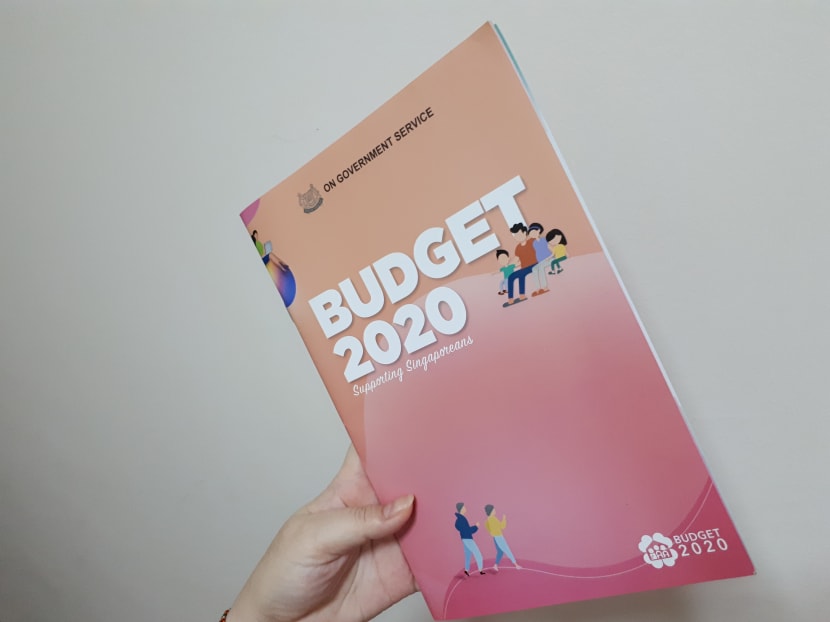 A copy of the Budget 2020 booklet the Ministry of Finance sent to households.