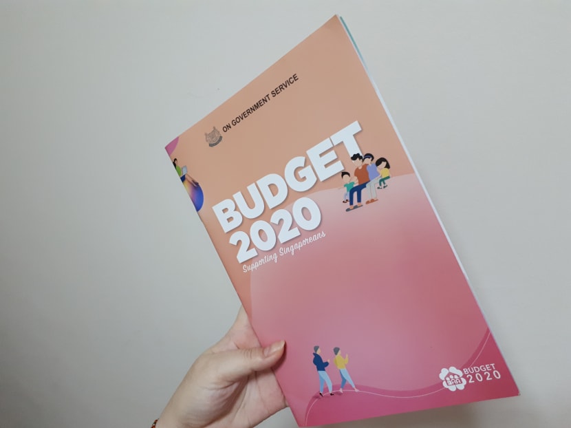A copy of the Budget 2020 booklet the Ministry of Finance sent to households. A copy of the Budget 2020 booklet the Ministry of Finance sent to households.