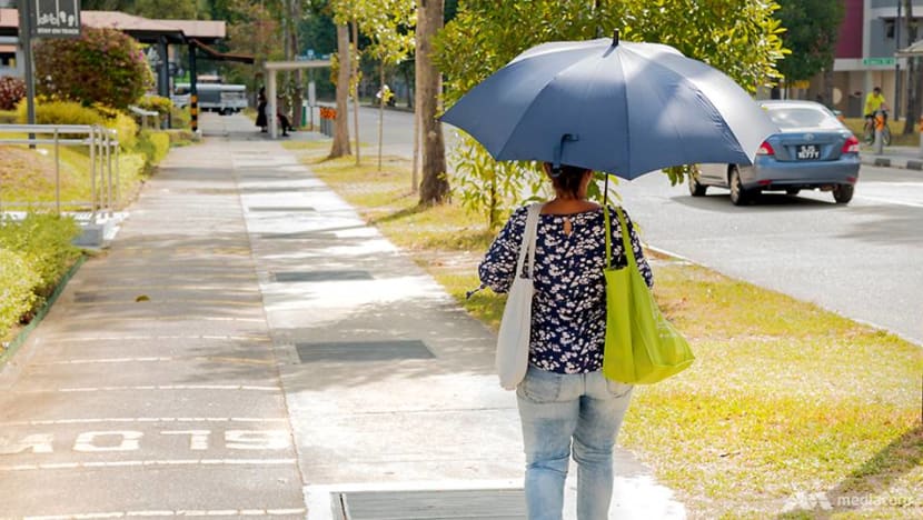 Dry, warm weather conditions expected in first half of March Dry, warm weather conditions expected in first half of March