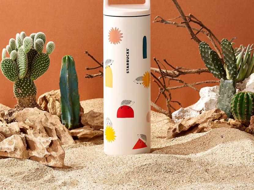 Starbucks New Desert Themed Collection Features Cute Cactus Pots Hedgehog Cups That Ll Keep You Reaching For That Beverage All Day Today