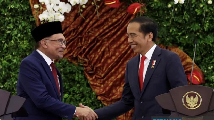  PM Anwar, Jokowi setuju kukuhkan hubungan M'sia-Indonesia 