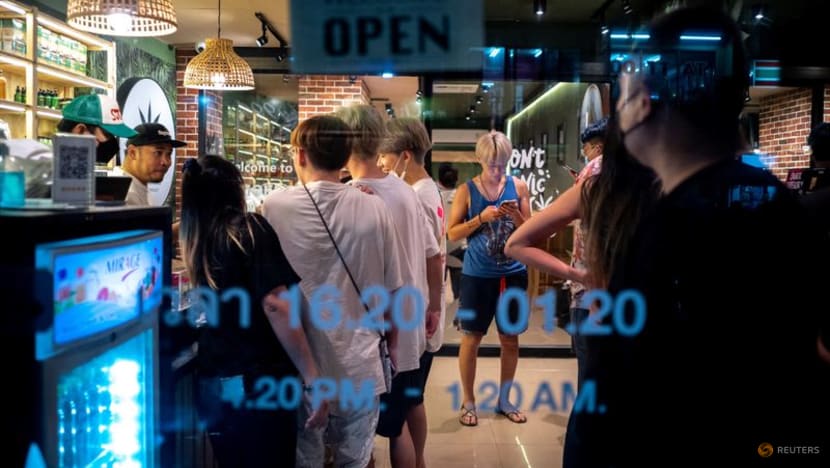 Thailand heads into polls with burning cannabis issue in limbo Thailand heads into polls with burning cannabis issue in limbo