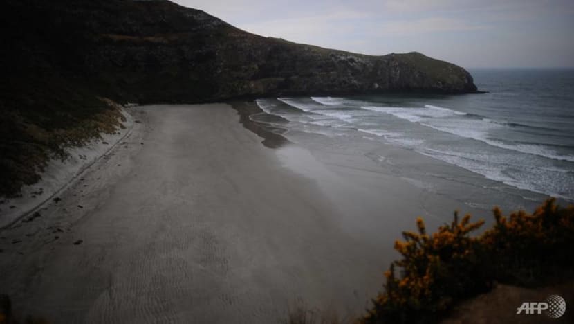 Tourists trampling on New Zealand's tranquility: Report Tourists trampling on New Zealand's tranquility: Report