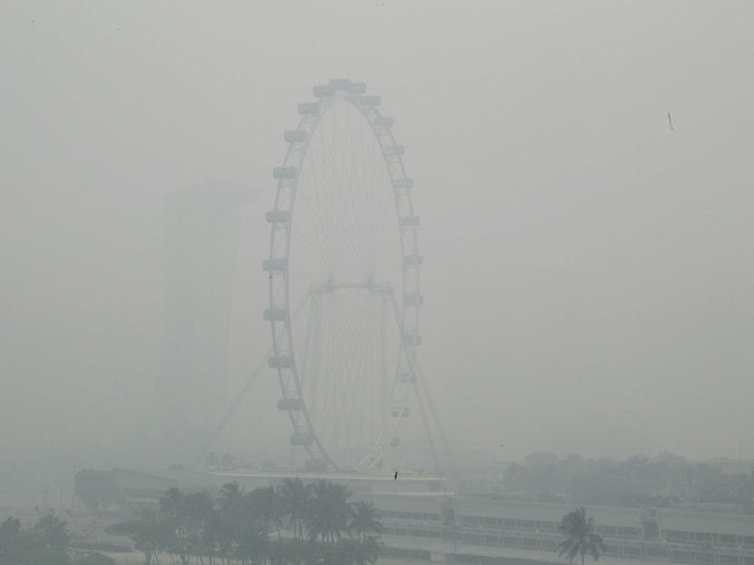 The Singapore Flyer, photographed in June 2013. Photo: Ernest Chua