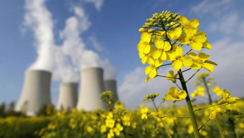 Corporate sustainability push a $35 trillion dollar conundrum for auditors Corporate sustainability push a $35 trillion dollar conundrum for auditors