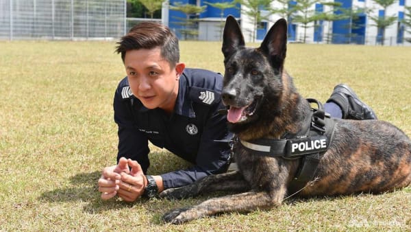 Ex police dog deals trainer