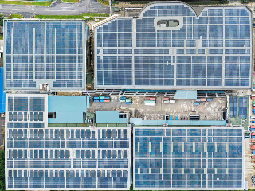 Aerial view of the solar installations at 40 Penjuru Lane.