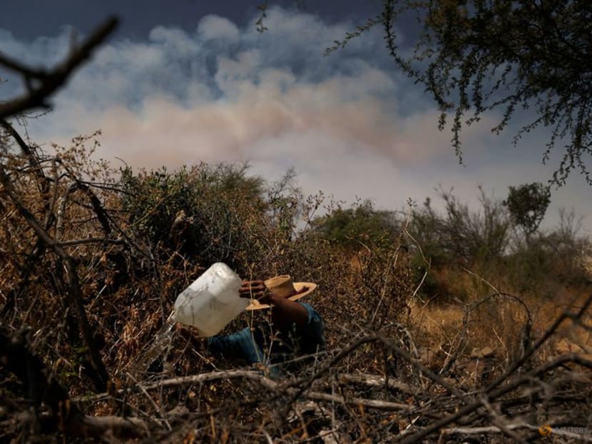 Chile heat wave exacerbates forest fires, causes public health risk TODAY