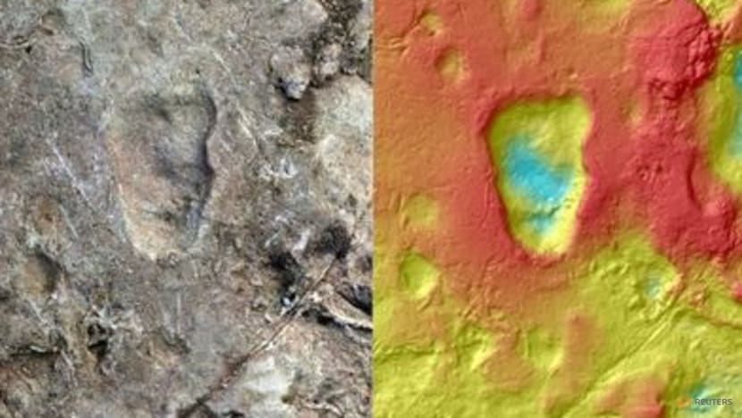 Tanzania footprints offer clues on origin of human upright walking