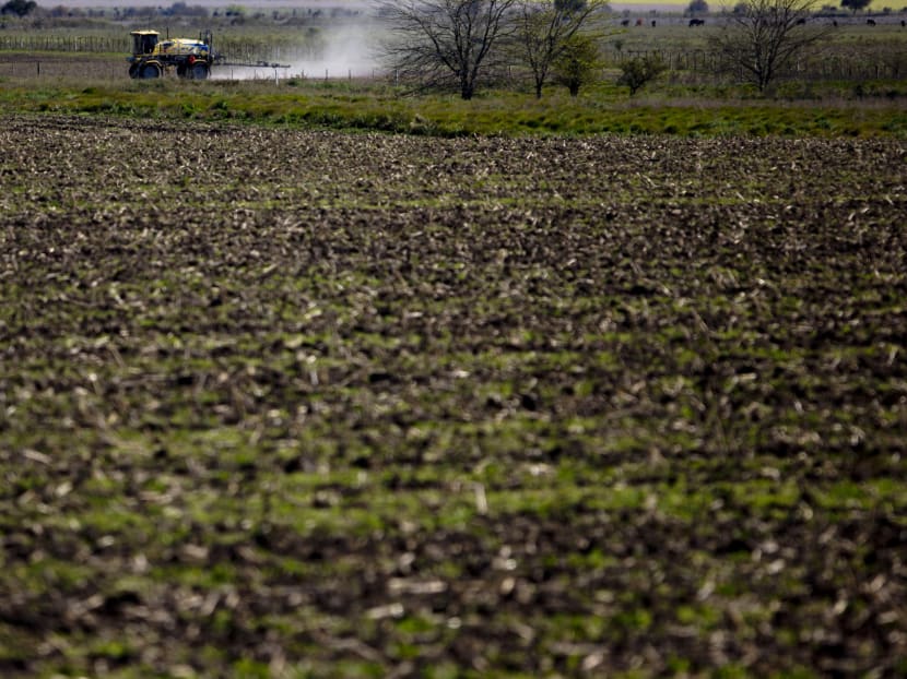Argentines link health problems to agrochemicals