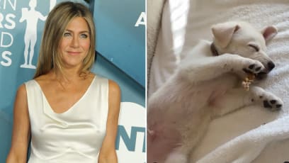 Jennifer Aniston Reveals Her New Puppy On Instagram