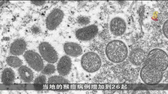 猴痘病毒持续蔓延 世卫呼吁各国提高警惕