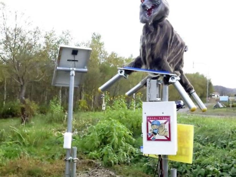Japanese town deploys 'Monster Wolf' robots to deter wild bears Japanese town deploys 'Monster Wolf' robots to deter wild bears