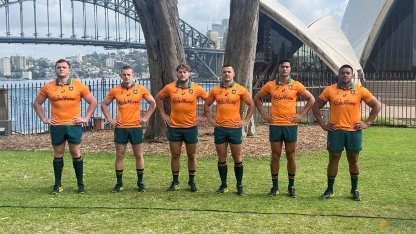 Roff convinced building Wallabies will be competitive against Lions - CNA