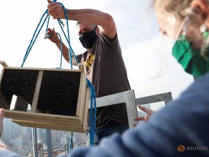 Beehive deliveries keep New Yorkers buzzing on rooftops, backyards Beehive deliveries keep New Yorkers buzzing on rooftops, backyards