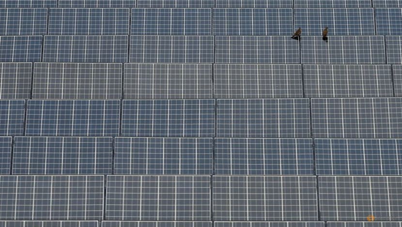 Analysis:SVB's climate tech clients face humbling funding questions Analysis:SVB's climate tech clients face humbling funding questions