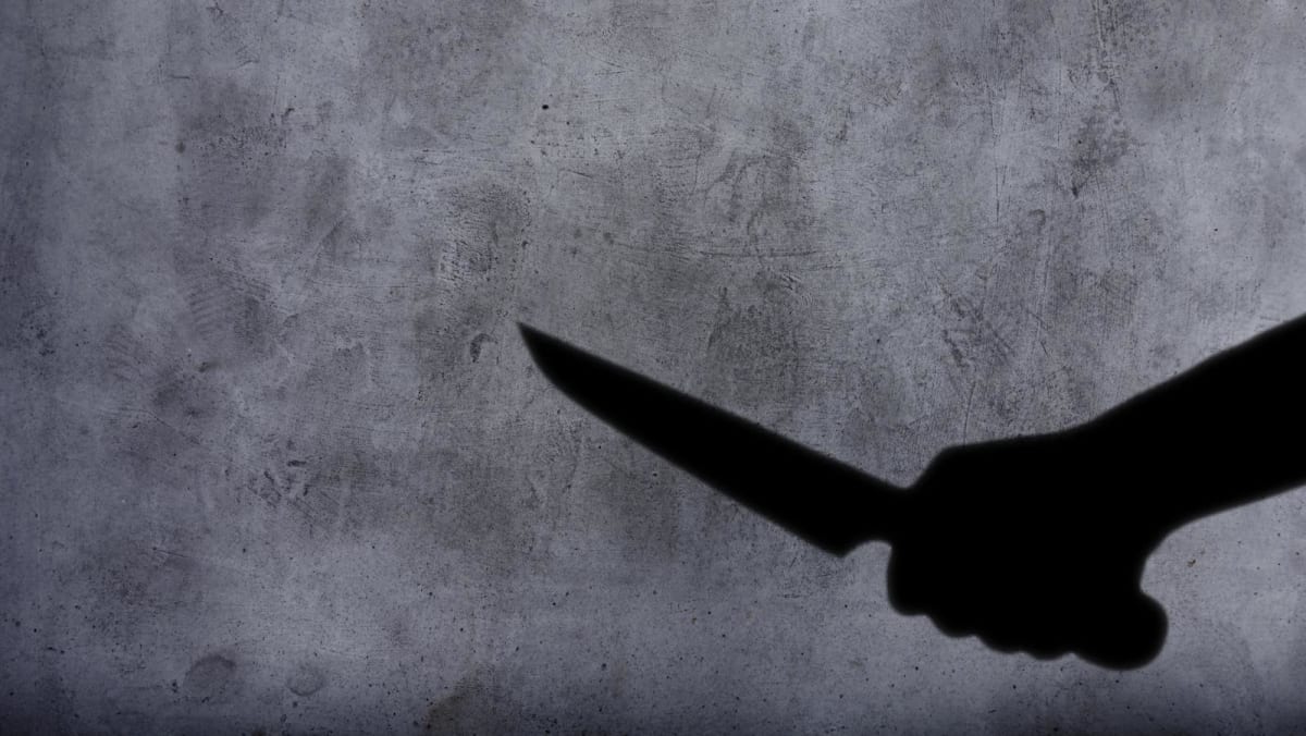 Japanese police search for suspect after teen fatally stabbed at McDonald’s: Media