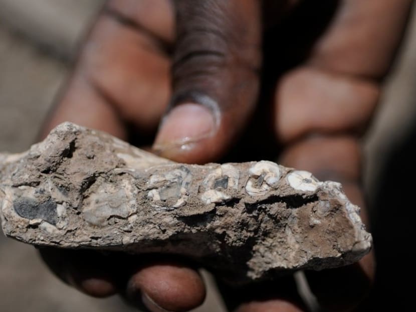 Archaeologists  announced the discovery of a fossilised human finger bone in the desert of Saudi Arabia that they said was 85,000 years old.