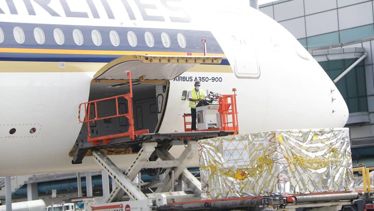 Commentary Can Singapore Be A Major Covid 19 Vaccine Transshipment Hub And Save Its Aviation Industry Cna