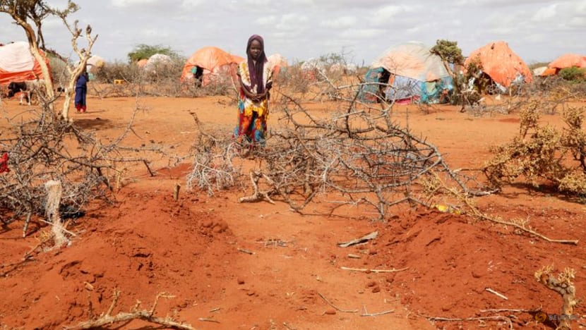 As hunger spreads in Somalia, babies start to die As hunger spreads in Somalia, babies start to die