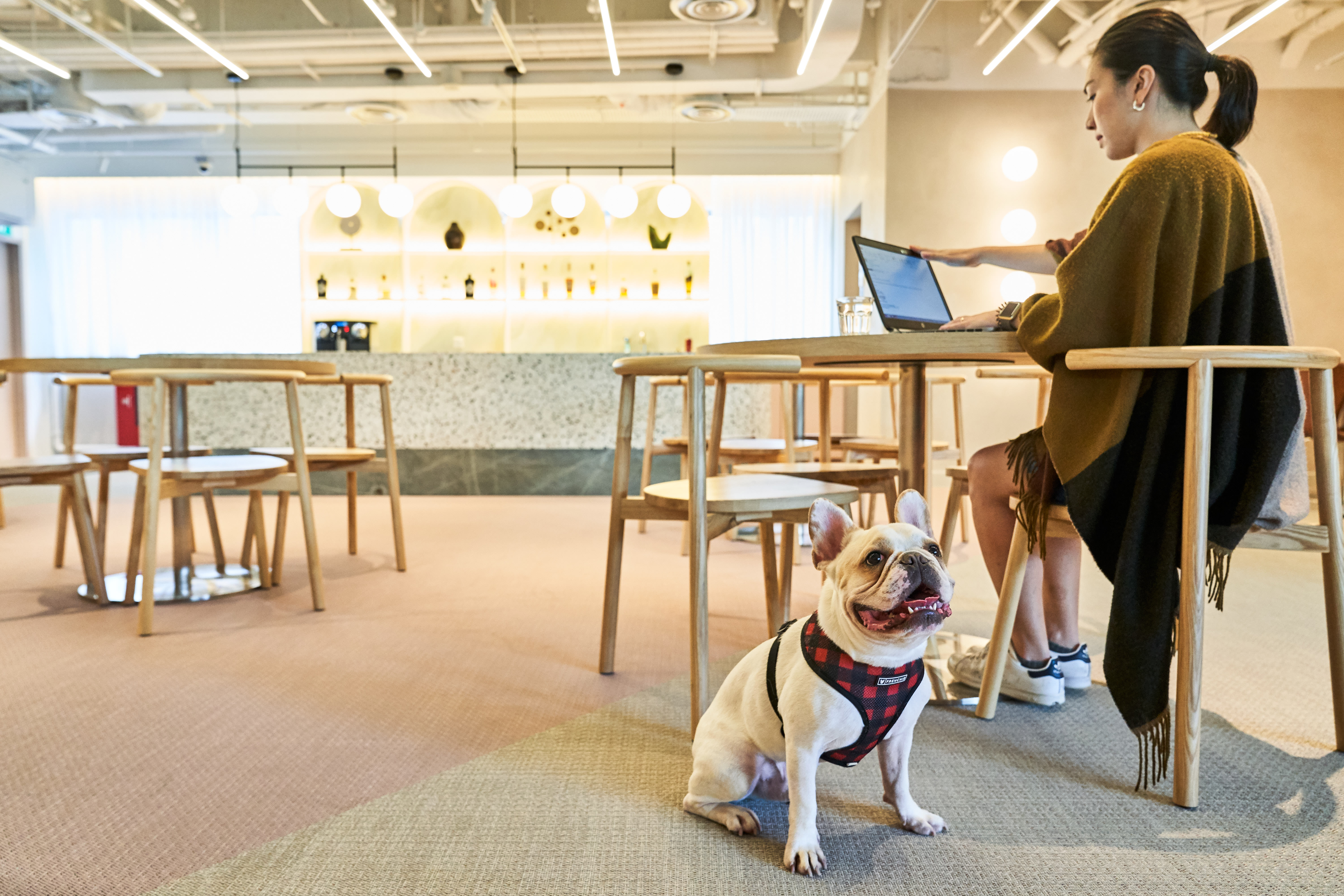 You Can Bring Your Dog To Work Every Day At This New Co-Working Space You Can Bring Your Dog To Work Every Day At This New Co-Working Space