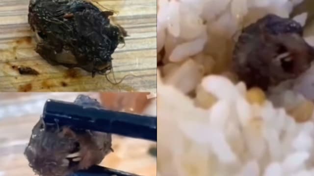 江西校园餐食异物是鸭脖还是鼠头？调查结果出炉