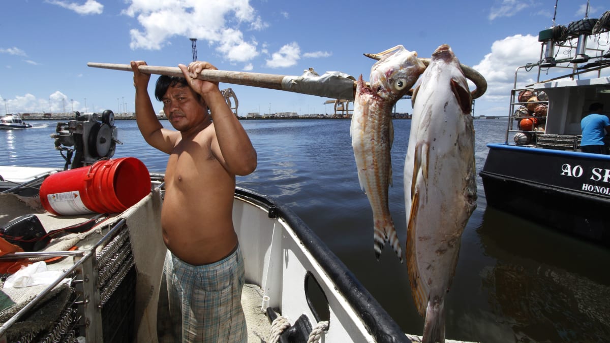 Hawaii molasses spill killing thousands of fish TODAY