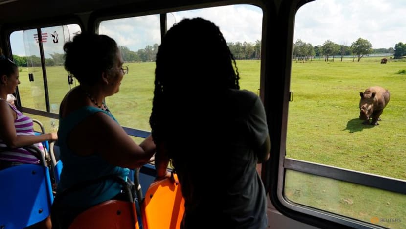 Cuban zoo helps deaf visitors experience the wild Cuban zoo helps deaf visitors experience the wild