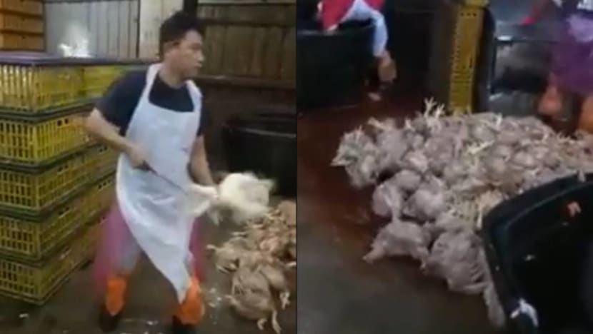 Malaysia slaughterhouse under probe for unhygienic practices after viral video Malaysia slaughterhouse under probe for unhygienic practices after viral video