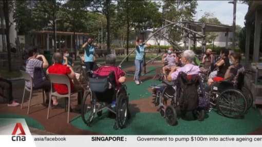 Singapore sets aside S$100 million for Active Ageing Centres