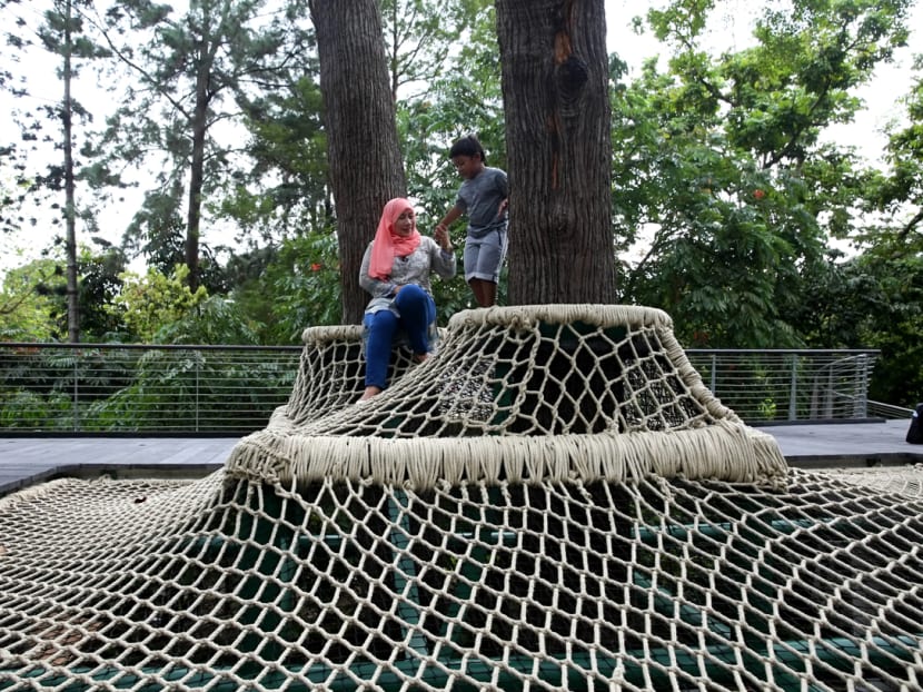 Century-old forest at Botanic Gardens opens Century-old forest at Botanic Gardens opens