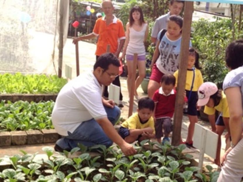Gardeners learning about planting in a community farm. Image: Mndsingapore.wordpress.com blog.