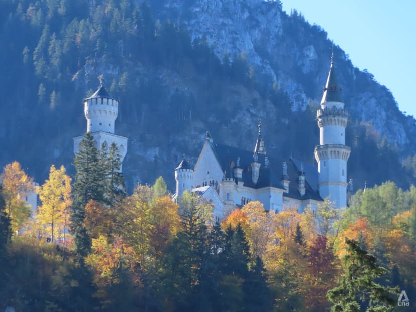 A safety first German holiday via a VTL: Avoiding crowds by hiking and staying in a forest cabin