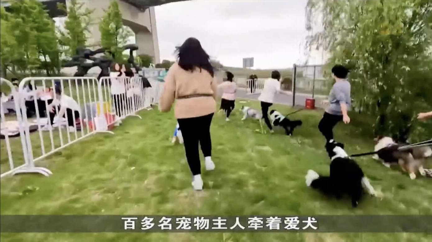 中国办人犬组合荒野挑战赛 近200对主人和爱犬过关斩将