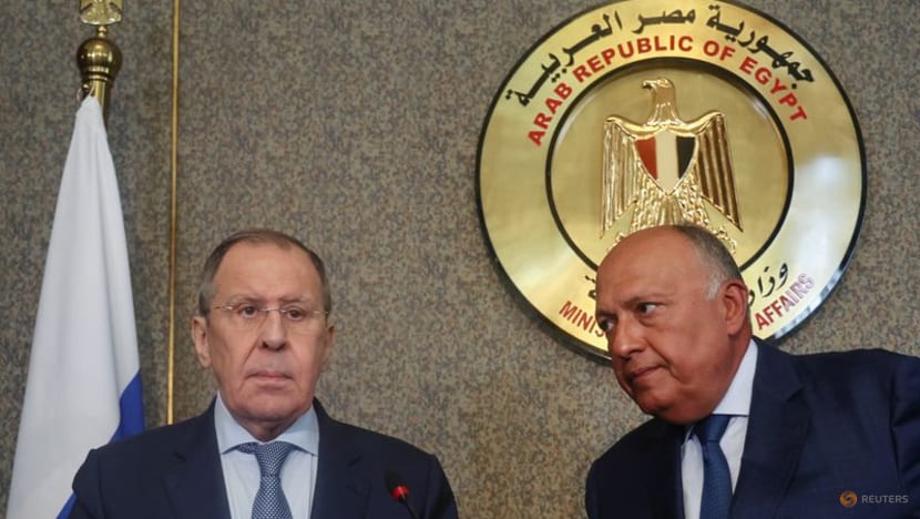 Lavrov offers reassurance over Russian grain supplies in Cairo visit