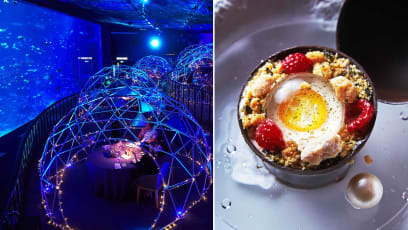 S.E.A Aquarium's 'Underwater' Dining Pop-Up Sells Out, And Here's Why