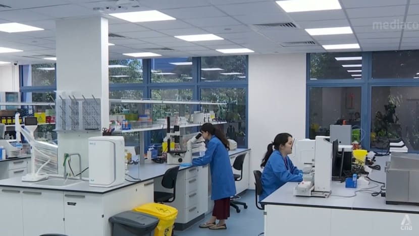 Big investors pour funds into longevity research, accelerating growth in field Big investors pour funds into longevity research, accelerating growth in field