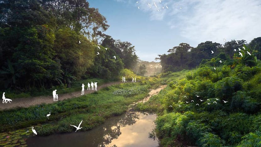 Two new trails at Clementi Nature Corridor to be progressively ready from 2023