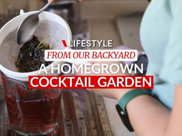 From garden to table: Using shiso leaves from an HDB ‘cocktail garden’ for drinks | CNA Lifestyle