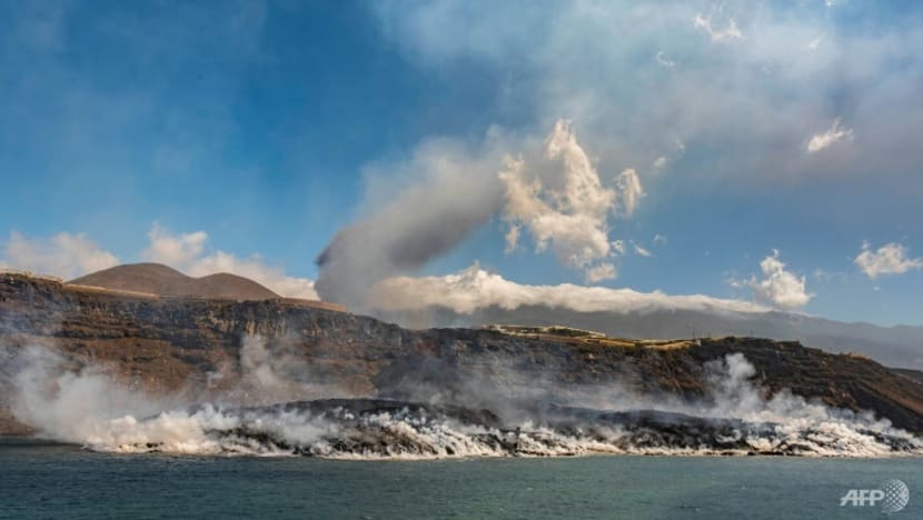 Drone rescue plan for dogs trapped by Spanish island eruption Drone rescue plan for dogs trapped by Spanish island eruption