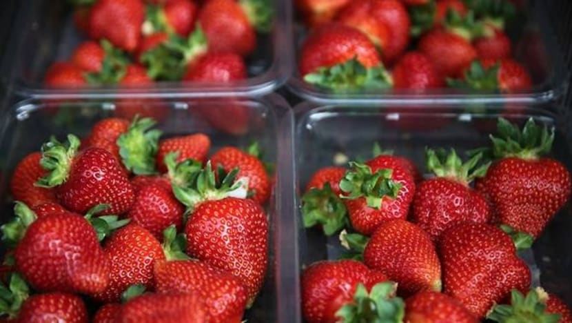 Jenama strawberi Australia yang dicemari jarum tidak diimport ke S'pura