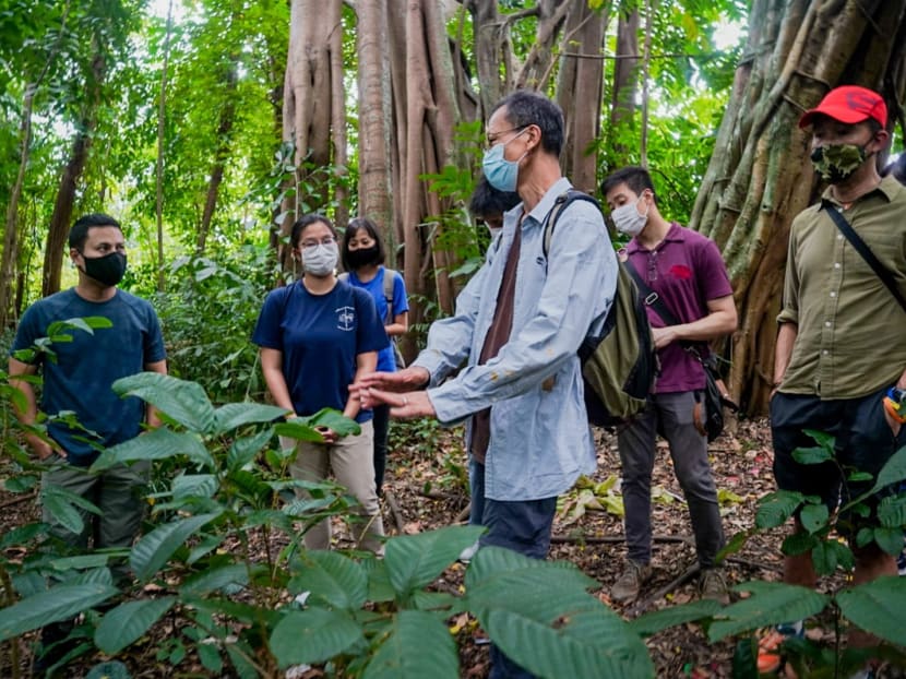 In a Facebook post, Minister for National Development Desmond Lee said he visited Ulu Pandan on Wednesday, accompanied by representatives from the National Parks Board (NParks), Nature Society (Singapore) and Singapore Youth Voices for Biodiversity.