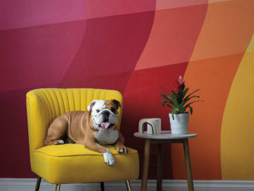 Tips on how to liven up the walls of your home with some colour and fun